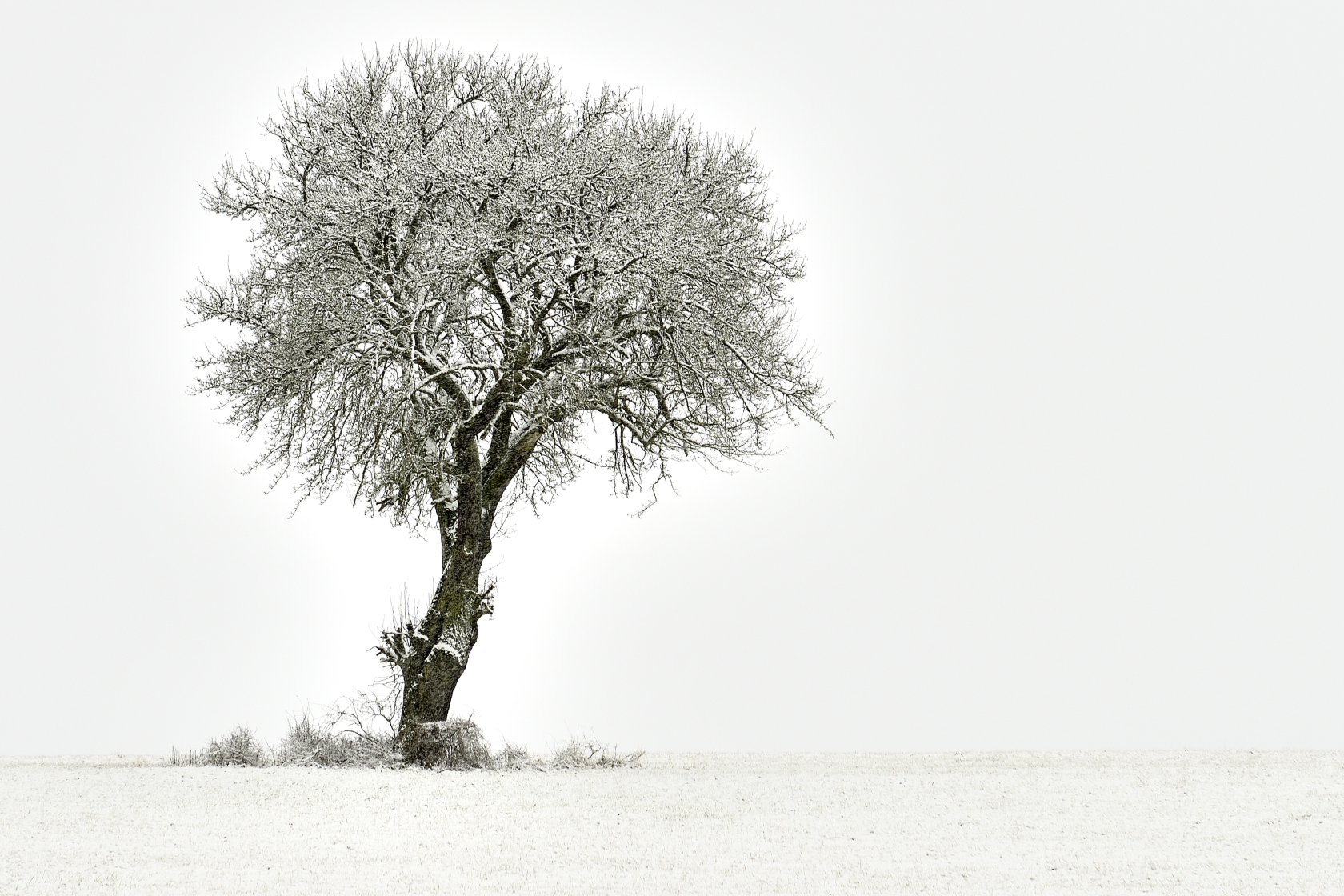 Winterstimmung nahe Hagenau