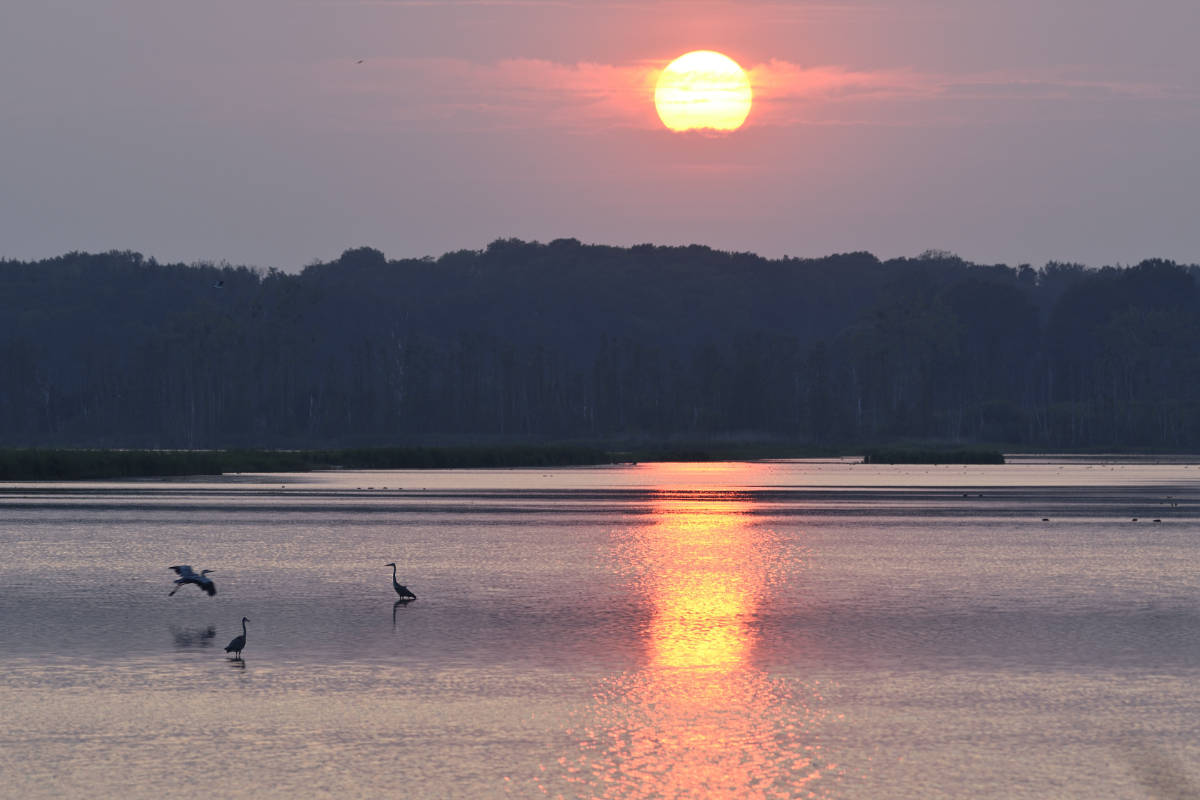 Am Kummerower See