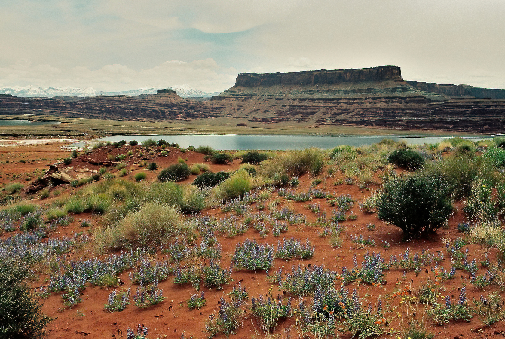 Canyonland