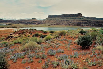 Canyonland