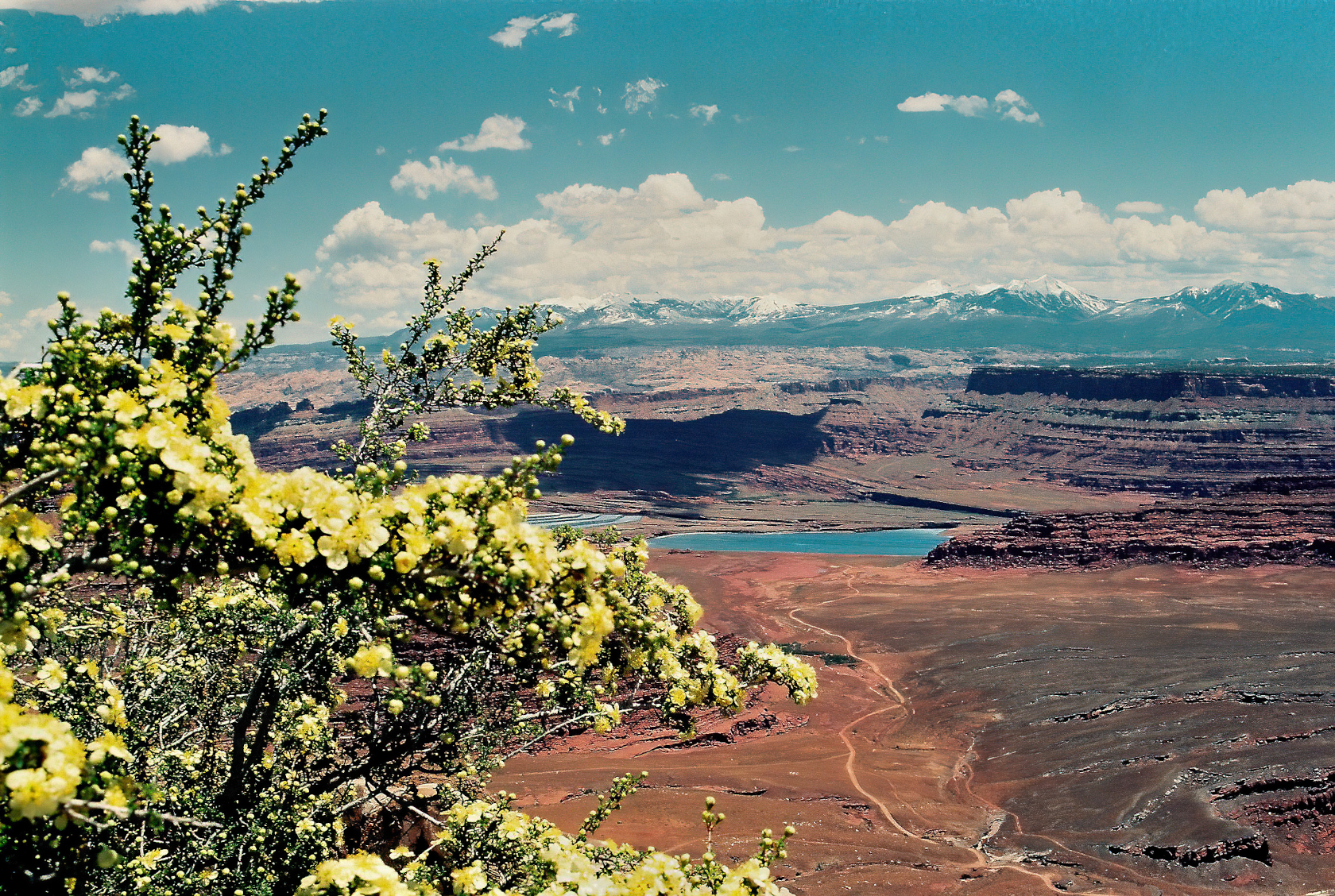 Canyonland