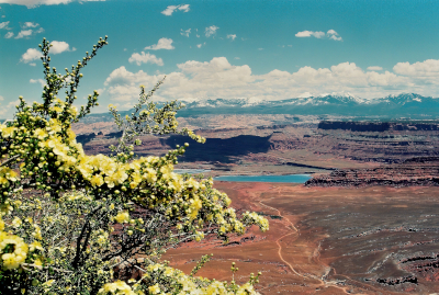 Canyonland